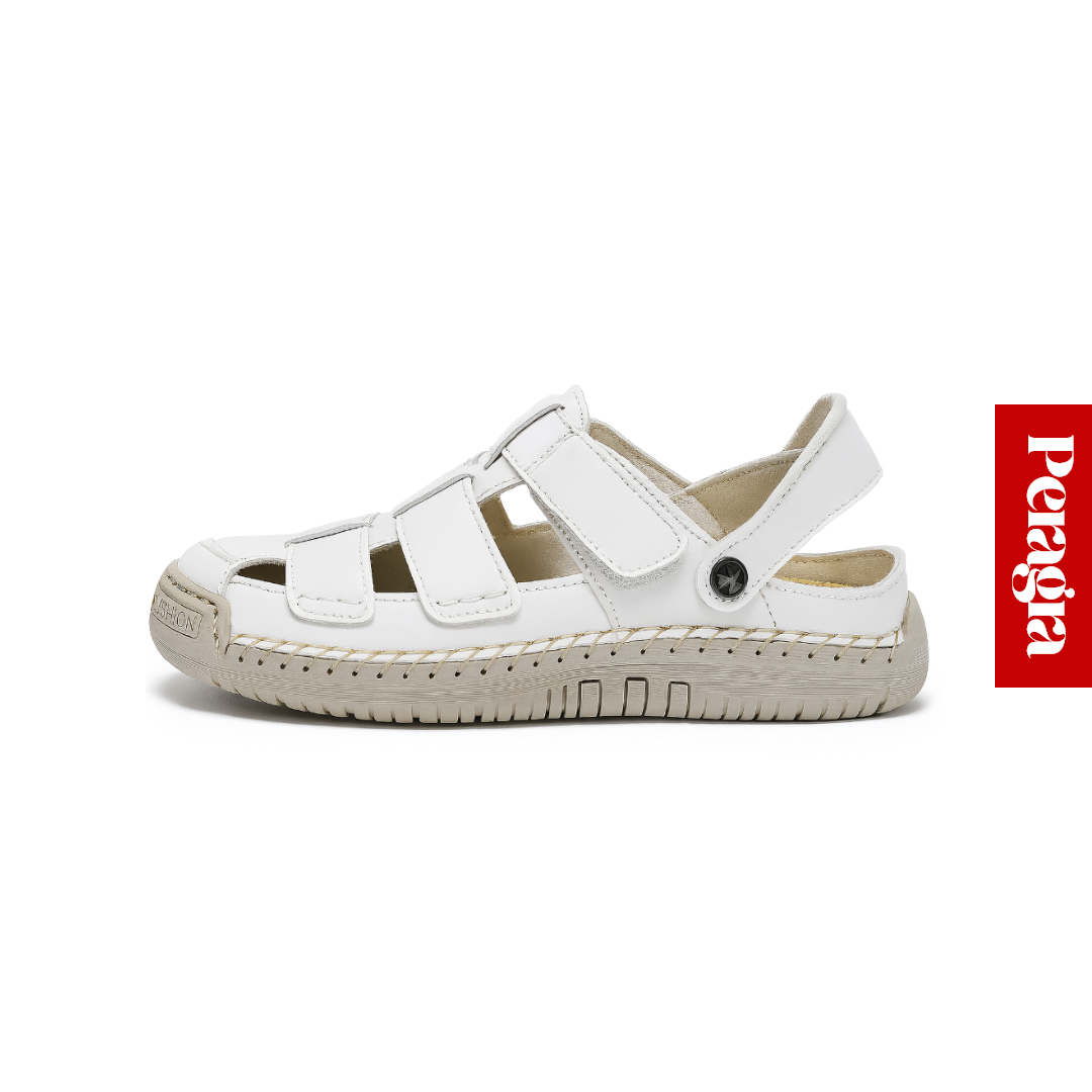 Peragra Linea